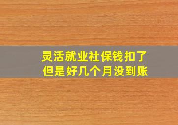 灵活就业社保钱扣了 但是好几个月没到账